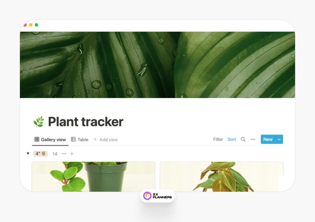 Plant Tracker