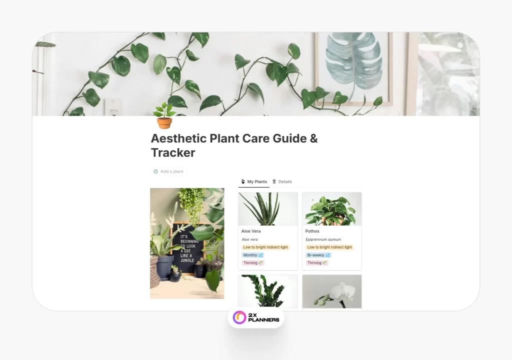 Aesthetic Plant Care Guide & Tracker