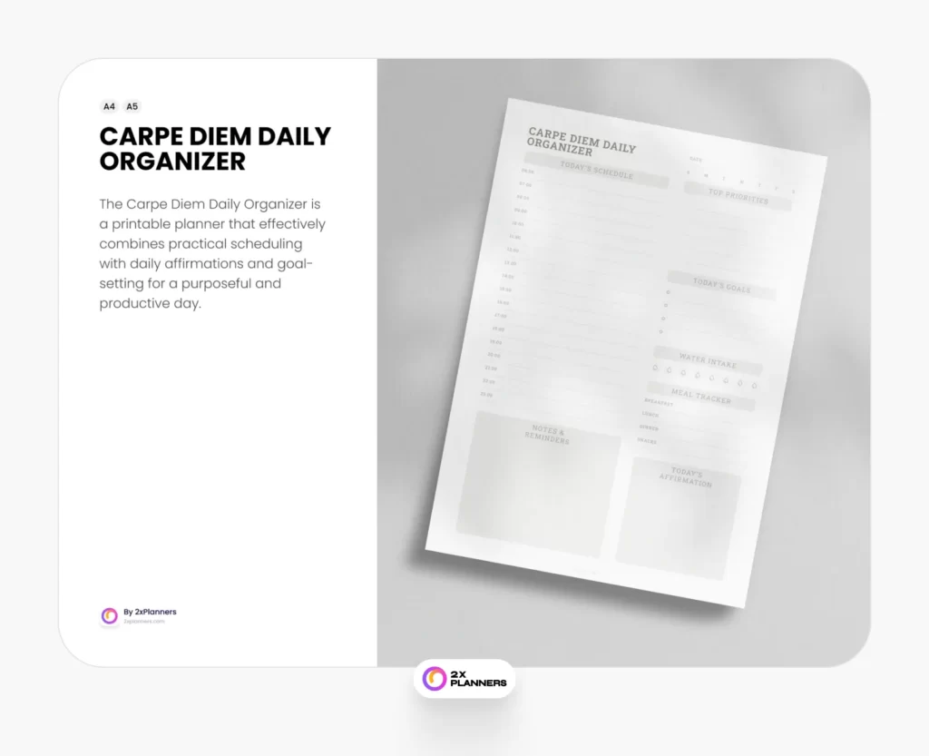 Carpe Diem Daily Organizer Printable Planner