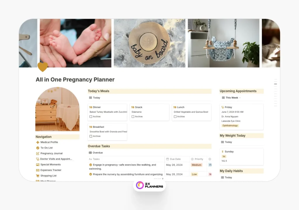 All in One Pregnancy Planner and Journal